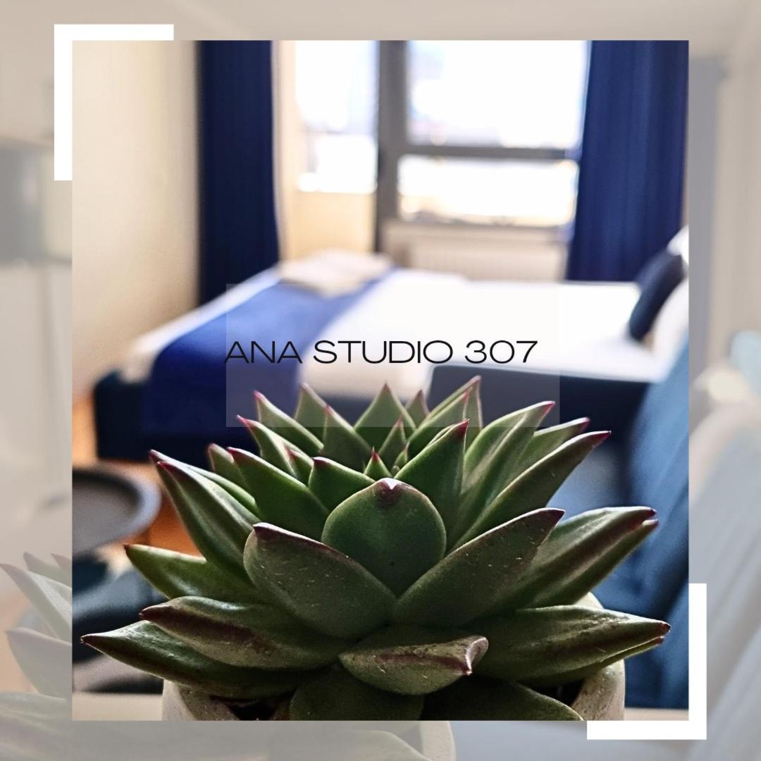 Ana Studio 307 Apartment พริสตีนา ภายนอก รูปภาพ