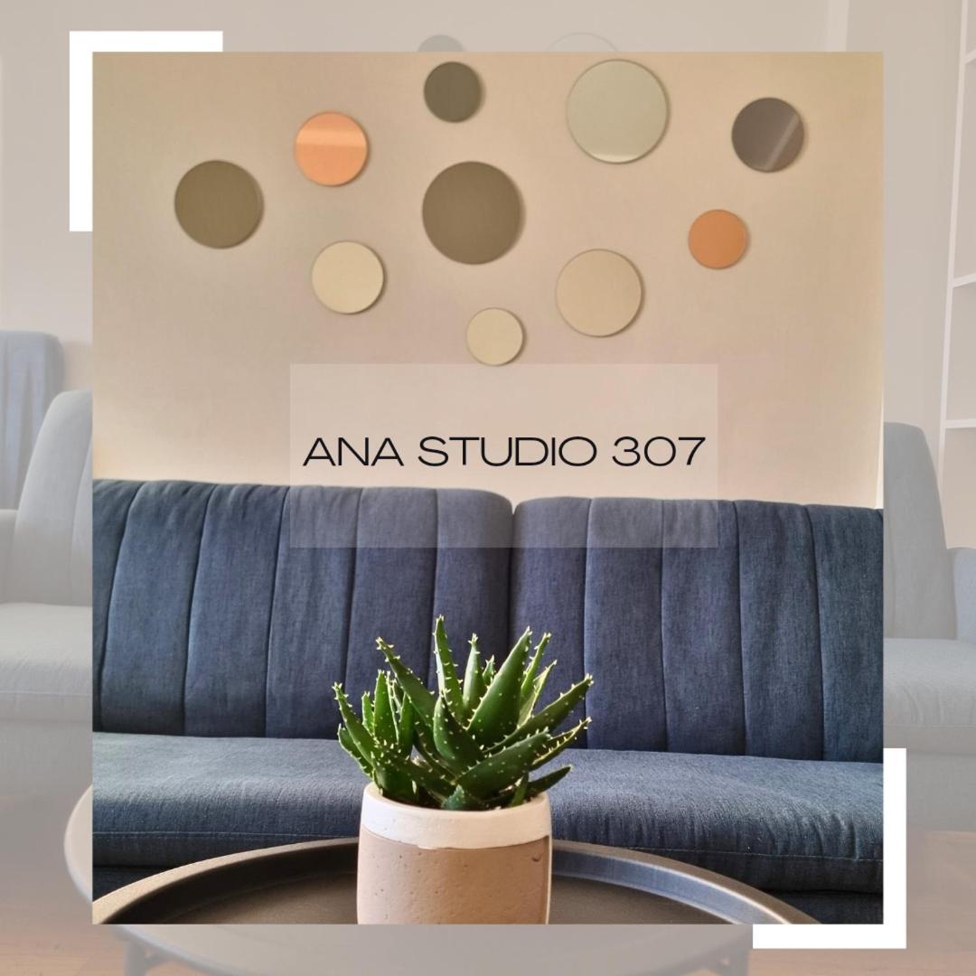 Ana Studio 307 Apartment พริสตีนา ภายนอก รูปภาพ